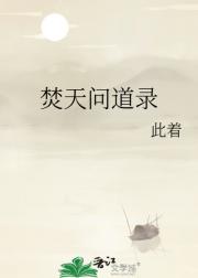 焚天问道录