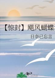 【惊封】飓风蝴蝶
