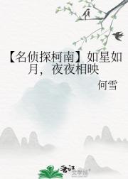 【名侦探柯南】如星如月，夜夜相映