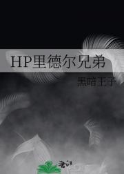 HP里德尔兄弟