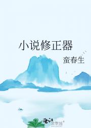 小说修正器