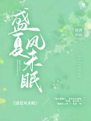 盛夏风未眠