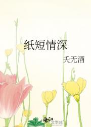 纸短情深