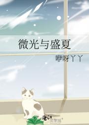 微光与盛夏