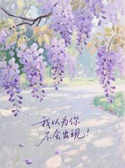 我以为你不会出现