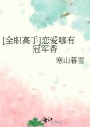 [全职]恋爱哪有冠军香