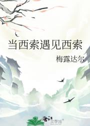 当西索遇见西索
