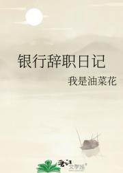 银行辞职日记