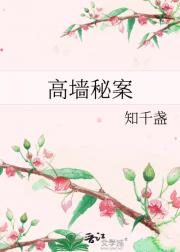 高墙秘案
