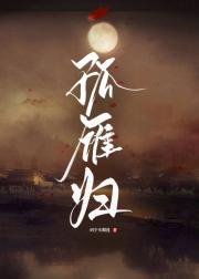 孤雁归