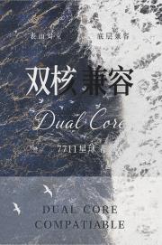 双核兼容