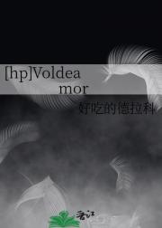 [hp]Voldeamor