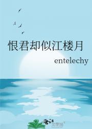 恨君却似江楼月