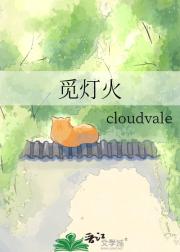 觅灯火