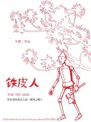 铁皮人[刑侦]