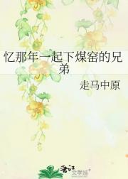 忆那年一起下煤窑的兄弟
