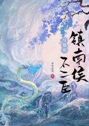 镇南侯与她的不二臣