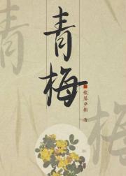 青梅对我图谋不轨