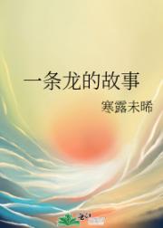 一条龙的故事