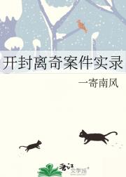 开封离奇案件实录