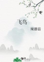 飞鸟