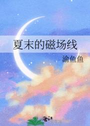 夏末的磁场线