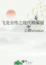 飞龙全传之现代精编版