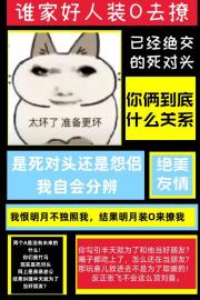装O和死对头网恋后