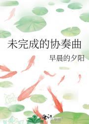 未完成的协奏曲