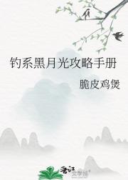 钓系黑月光攻略手册