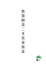 我靠倒卖二手发家致富（赛博）