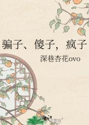 骗子、傻子，疯子