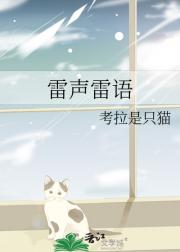 雷声雷雨随笔札记