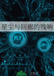 星尘与回廊的残响
