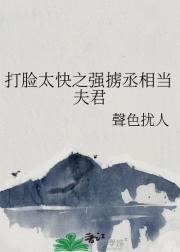 打脸太快之强掳丞相当夫君