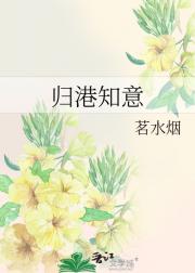 归港知意