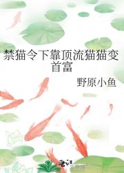 禁猫令下靠顶流猫猫变首富