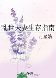 乱世夫妻生存指南