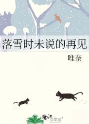 落雪时未说的再见