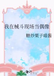 我在械斗现场当偶像