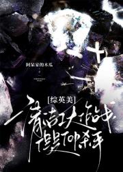 [综英美] 清洁工大作战，但是Top杀手