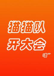 猫猫队，开大会