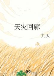 天灾回廊