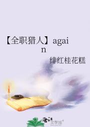 【全职猎人】again