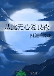 从此无心爱良夜