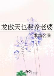龙傲天也要养老婆