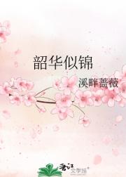 韶华似锦