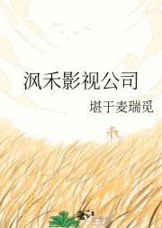 沨禾影视公司