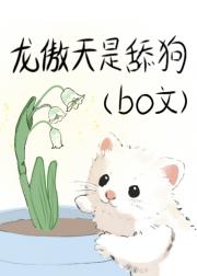 龙傲天是舔狗