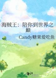 海贼王：陪你到世界之巅